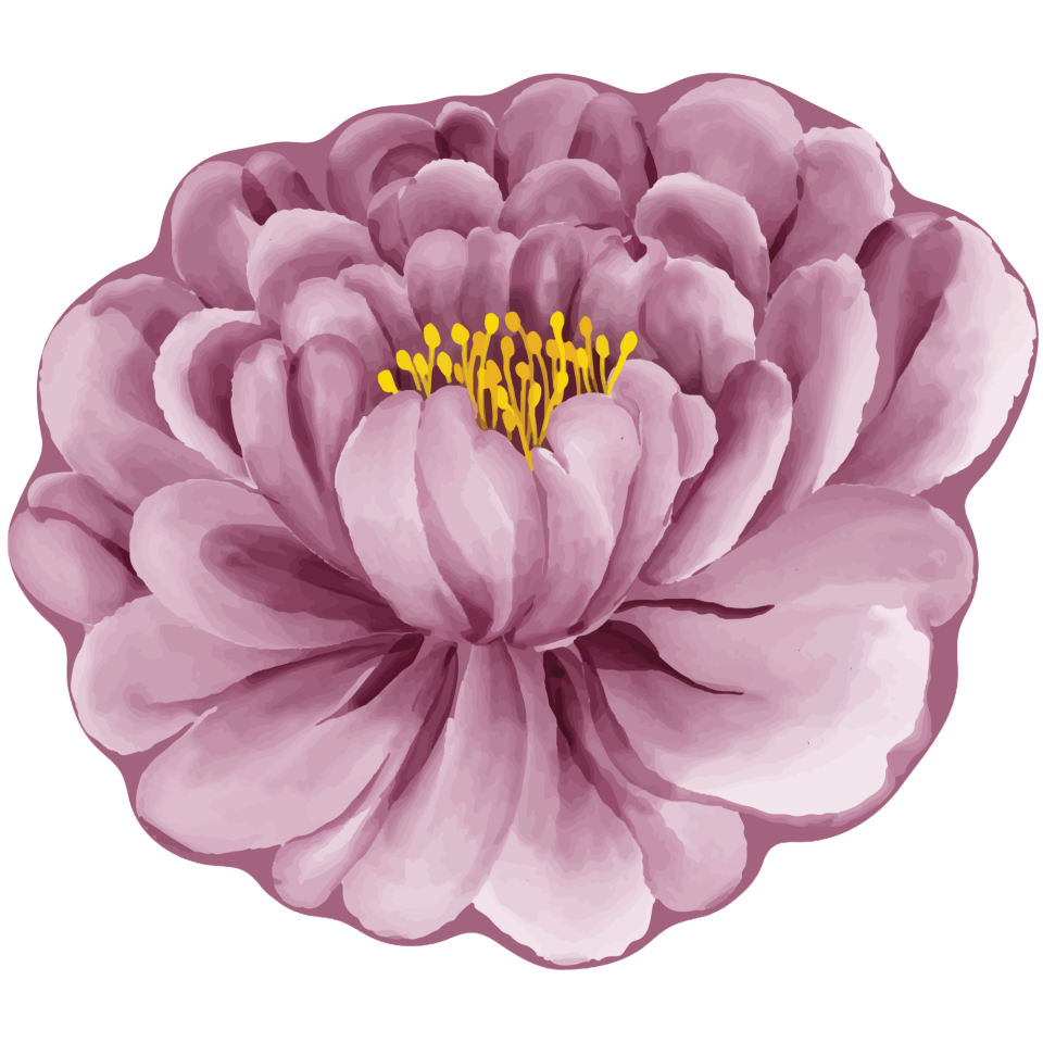 Bloom Amerikan Servis