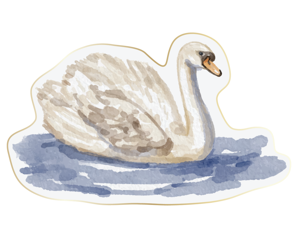 Swan Amerikan Servis
