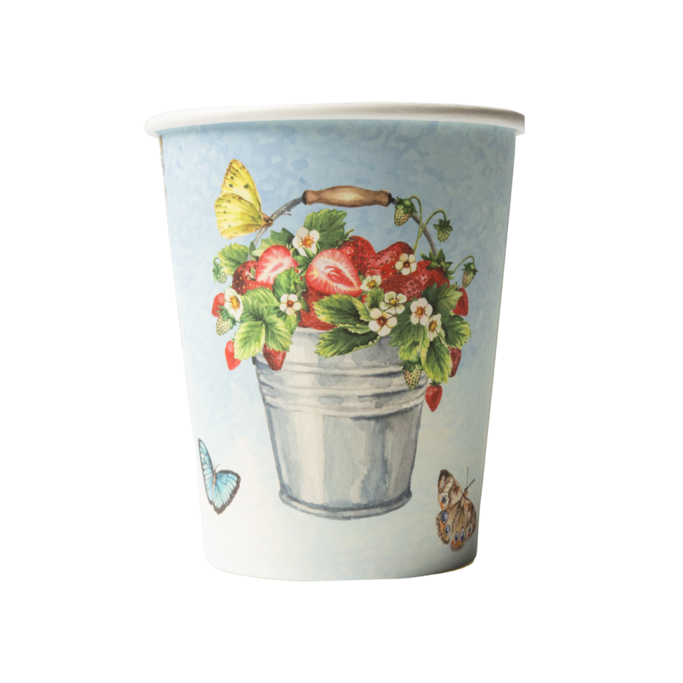 Picnic Bardak