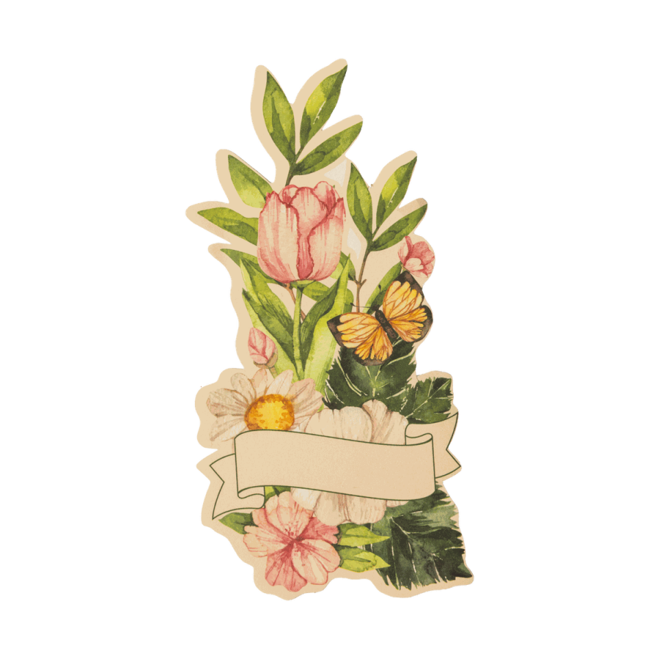 Tulipa İsimlik